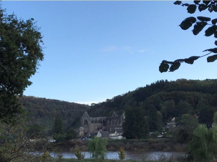 Woodmill Farm Cottage Alvington Esterno foto