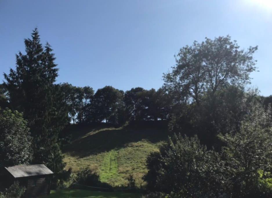 Woodmill Farm Cottage Alvington Esterno foto