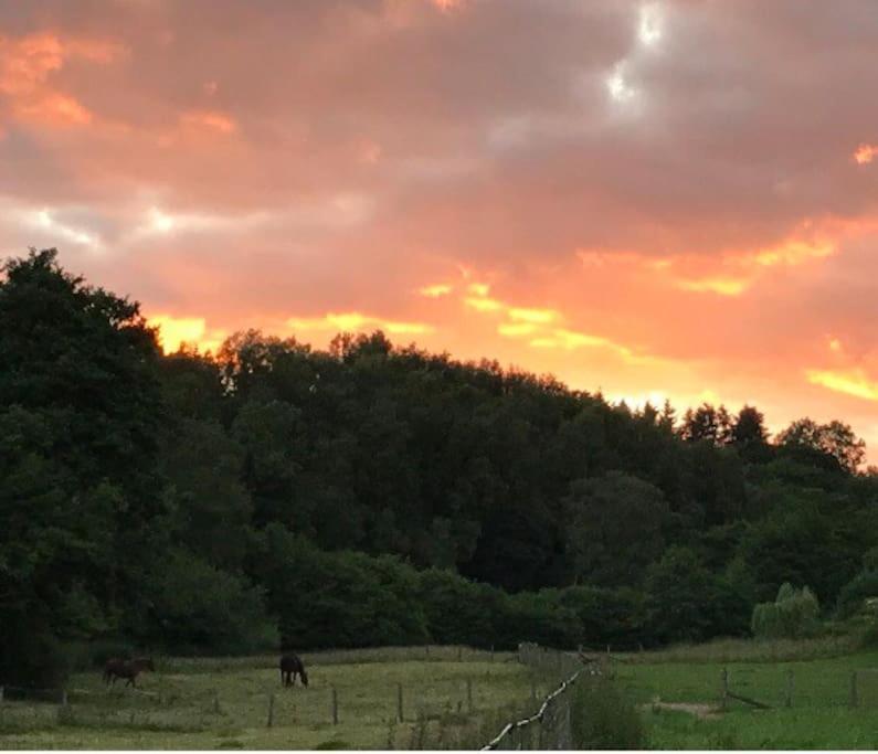 Woodmill Farm Cottage Alvington Esterno foto